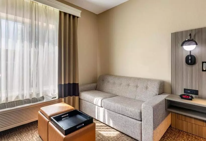 Juniorsviitti King-vuode, Comfort Inn & Suites North Dallasaddison