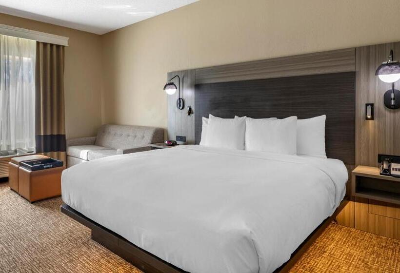 جناح جونيور سرير كينج, Comfort Inn & Suites North Dallasaddison