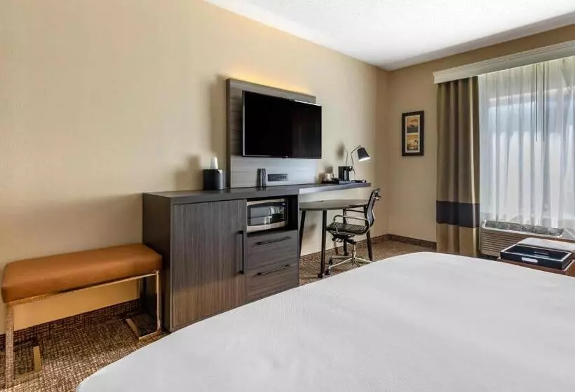 Juniorsviitti King-vuode, Comfort Inn & Suites North Dallasaddison
