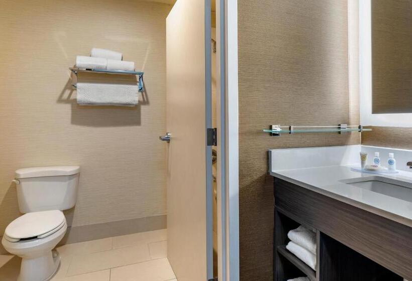 带大床的套房, Comfort Inn & Suites North Dallasaddison