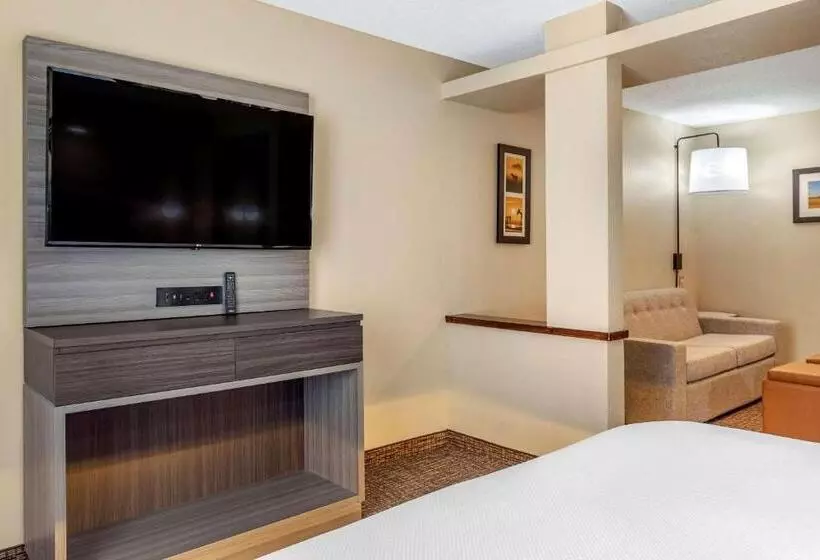 Sviitti King-vuode, Comfort Inn & Suites North Dallasaddison
