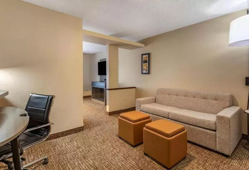 Sviitti King-vuode, Comfort Inn & Suites North Dallasaddison