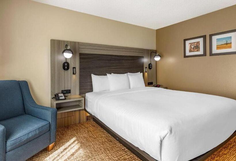 适合残疾人士使用的带超级大床的标准间, Comfort Inn & Suites North Dallasaddison