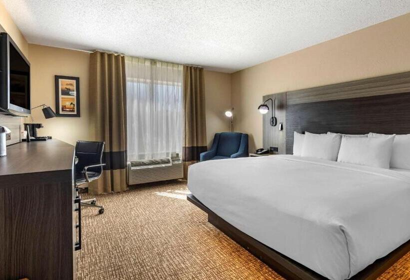 غرفة قياسية سرير كينج لذوى الإحتياجات الخاصة, Comfort Inn & Suites North Dallasaddison