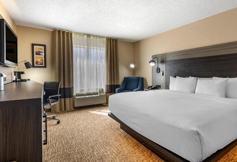 غرفة قياسية سرير كينج لذوى الإحتياجات الخاصة, Comfort Inn & Suites North Dallasaddison