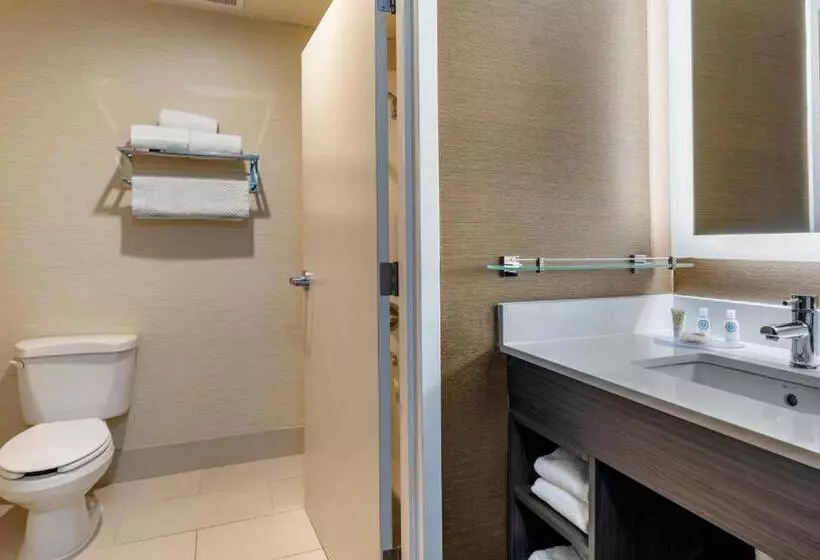 Standard-huone, Comfort Inn & Suites North Dallasaddison