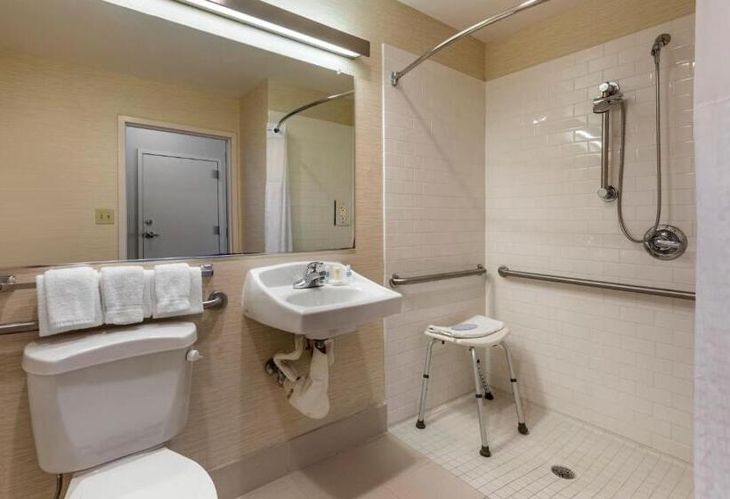 适合残疾人使用的标准间, Comfort Inn & Suites North Dallasaddison