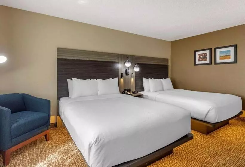 Standard-invahuone, Comfort Inn & Suites North Dallasaddison