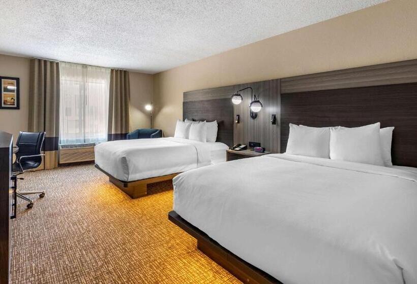 غرفة قياسية لذوى الاحتياجات الخاصة, Comfort Inn & Suites North Dallasaddison