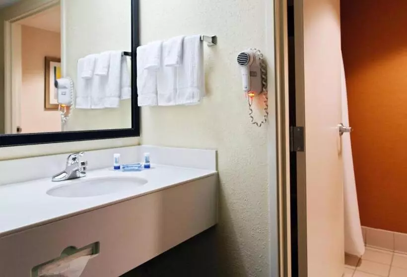 استودیو استاندارد با تخت کینگ, Fairfield Inn & Suites Charlotte Arrowood
