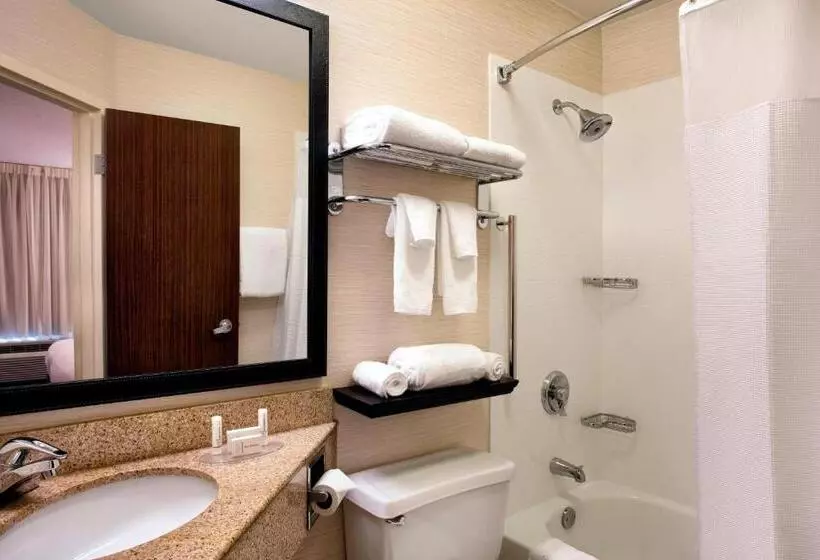 障害者適応デラックスルーム, Fairfield Inn & Suites Merrillville