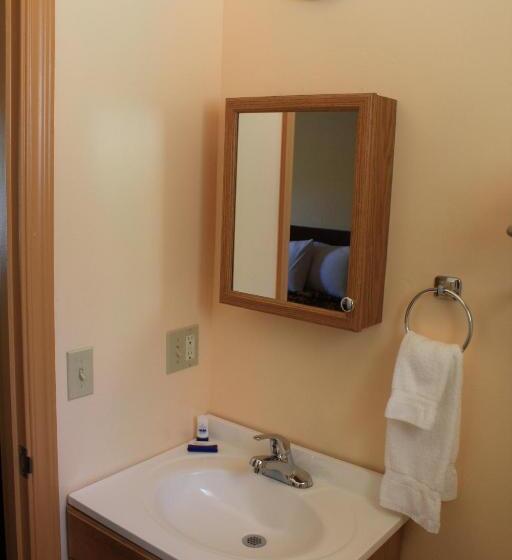 스탠다드 룸 킹사이즈 침대, Gold Trail Motor Lodge