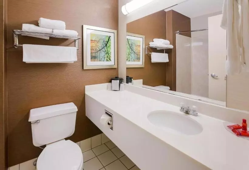 キングサイズベッドのスタンダードルーム, SureStay Plus by Best Western Minot