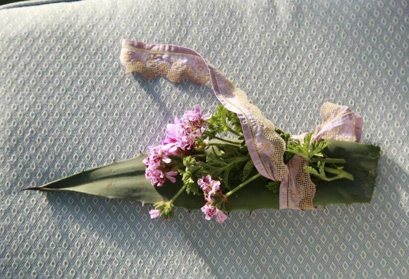 اتاق استاندارد یک نفره, Albergo Ristorante Egadi