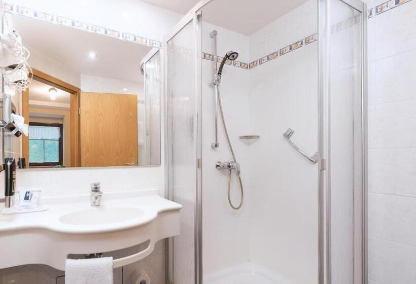 Номер Стандарт Индивидуальный, Gasthof Hotel Anker