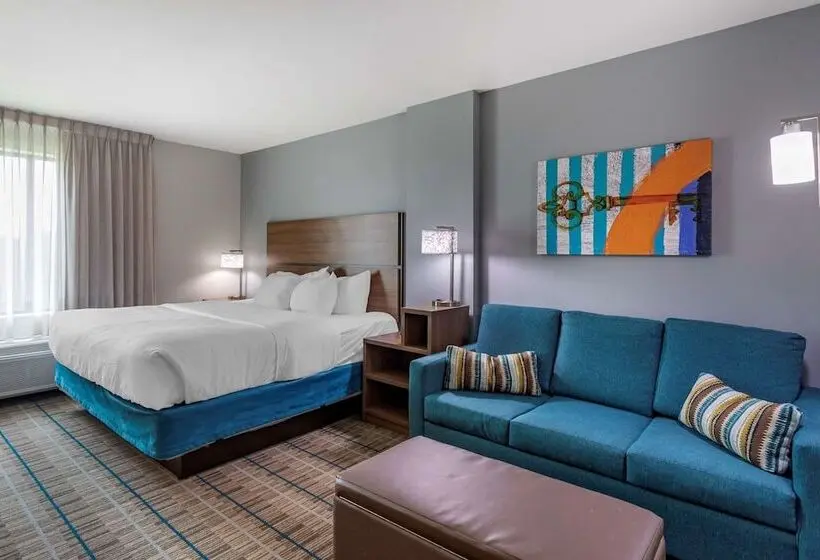 Sviitti Liikuntarajoitteisille, Mainstay Suites Bowling Green North