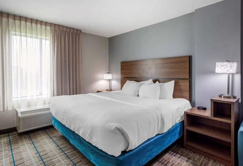 Sviitti Liikuntarajoitteisille, Mainstay Suites Bowling Green North