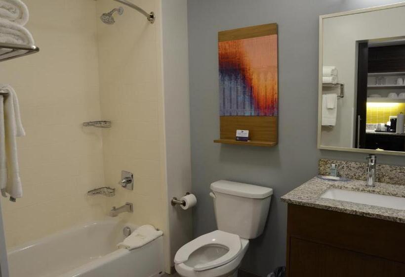 سوئیت با تخت بزرگ, Mainstay Suites Bowling Green North