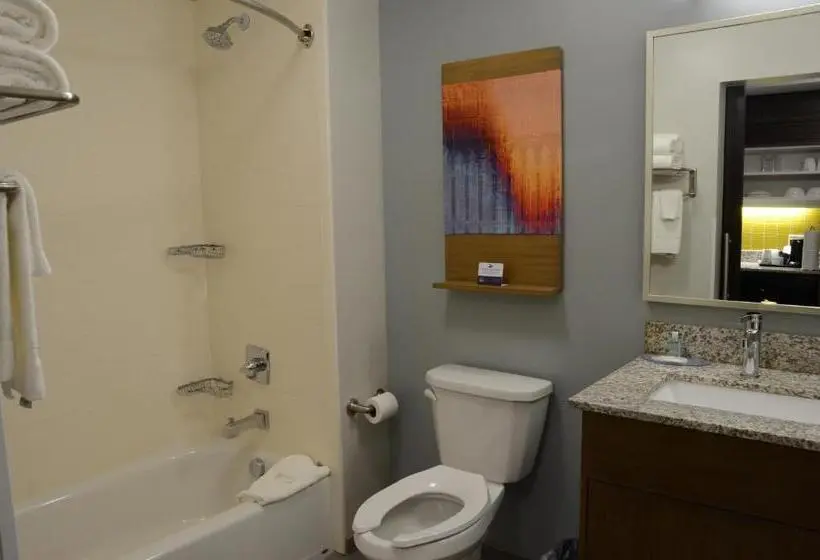 Sviitti King-vuode, Mainstay Suites Bowling Green North