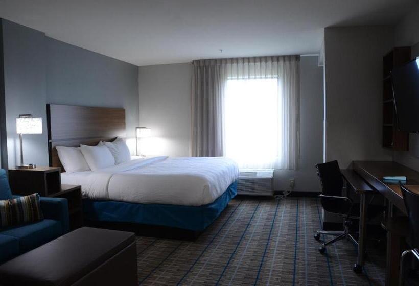 سوئیت با تخت بزرگ, Mainstay Suites Bowling Green North