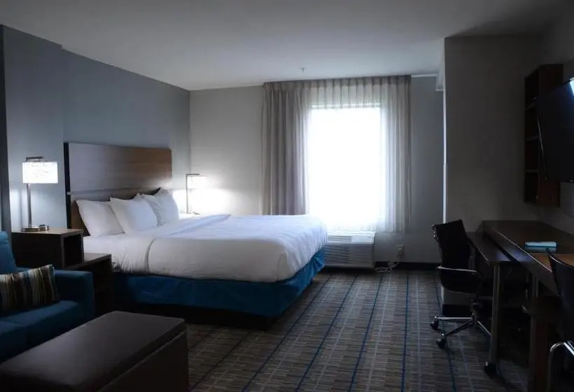 Sviitti King-vuode, Mainstay Suites Bowling Green North