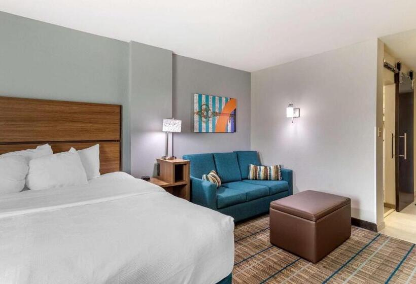 سوئیت با تخت بزرگ, Mainstay Suites Bowling Green North