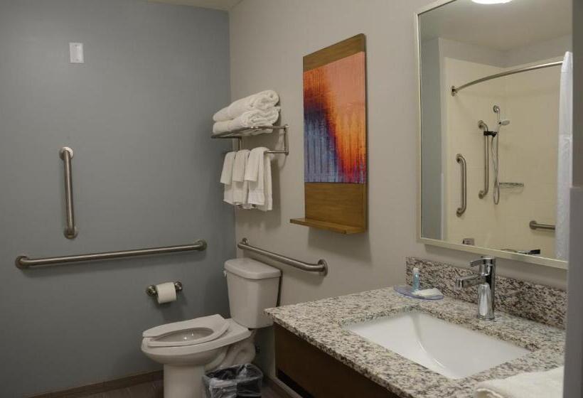 سوئیت برای معلولان, Mainstay Suites Bowling Green North