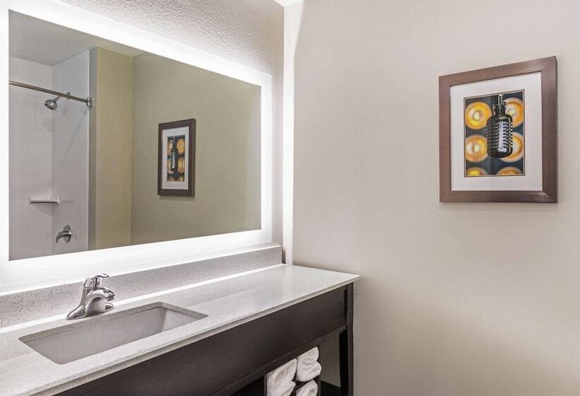 סטודיו סטנדרט מיטה זוגית, La Quinta Inn & Suites By Wyndham Kansas City Beacon Hill