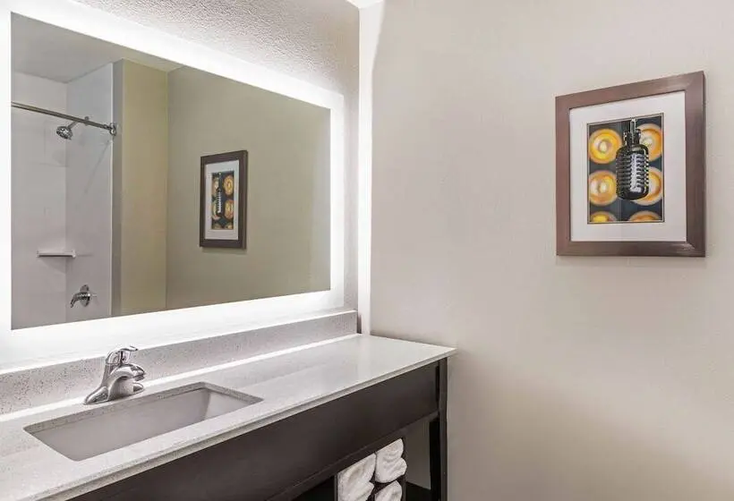 Standard-huone 2 Parivuodetta, La Quinta Inn & Suites By Wyndham Kansas City Beacon Hill