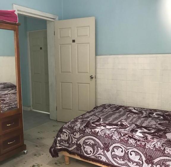 اتاق اکونومی, Fundadores Torreón