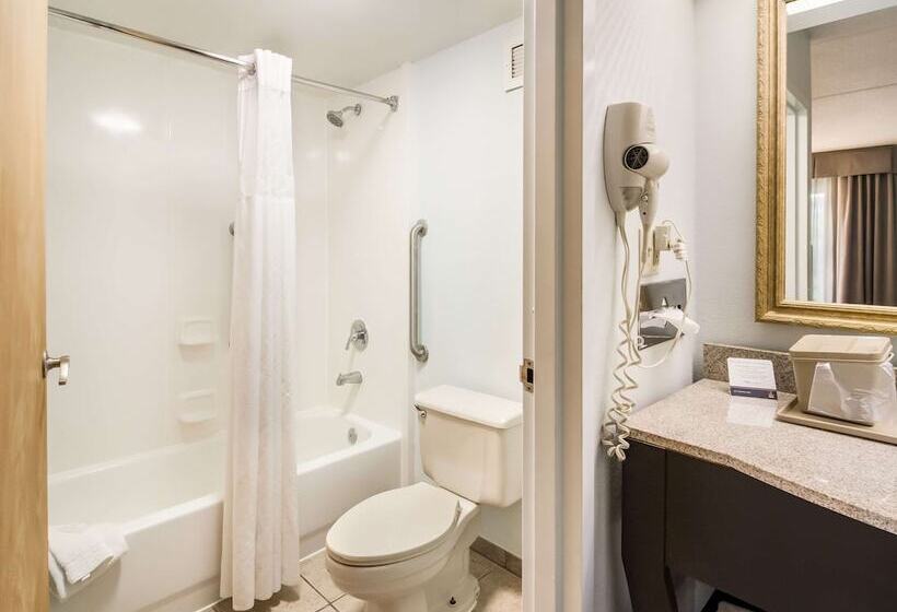 חדר סטנדרט שתי מיטות זוגיות, Clarion Inn Cleveland Near University