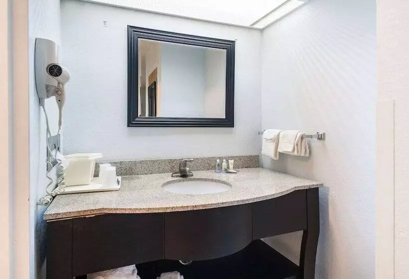 ２ダブルベッドのスタンダードルーム, Clarion Inn Cleveland Near University