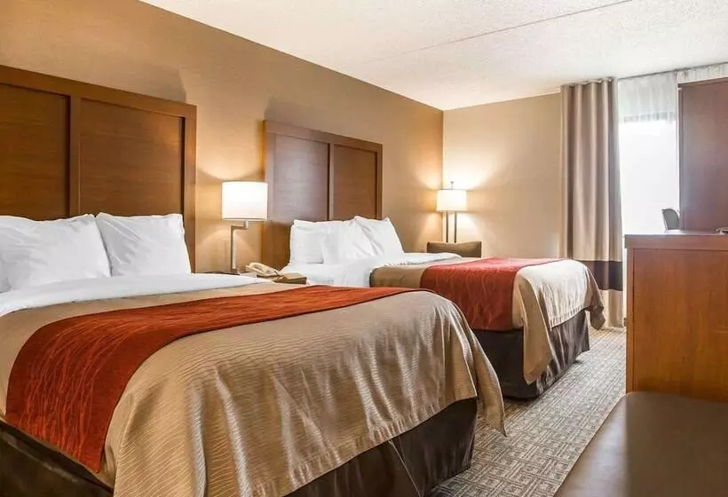 ２ダブルベッドのスタンダードルーム, The Clocktower Hotel At Century House, Ascend Hotel Collection