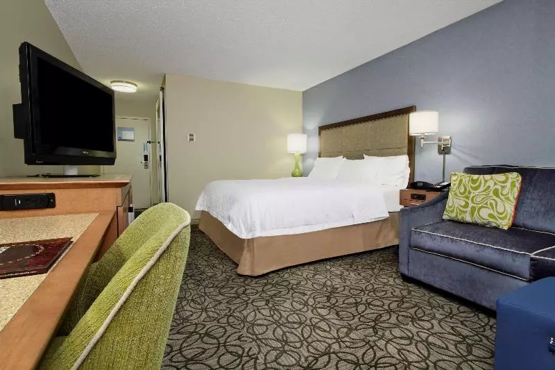 اتاق استاندارد با تخت بزرگ, Hampton Inn Austin/airport Area South