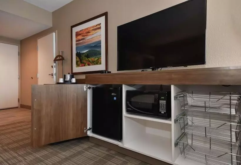 身障者適用スタンダードルーム, Hampton Inn Brevard