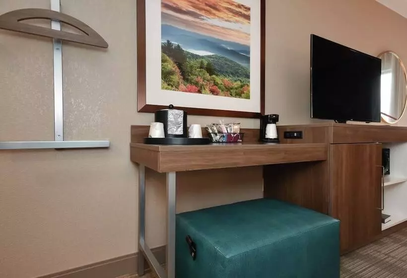 身障者適用スタンダードルーム, Hampton Inn Brevard