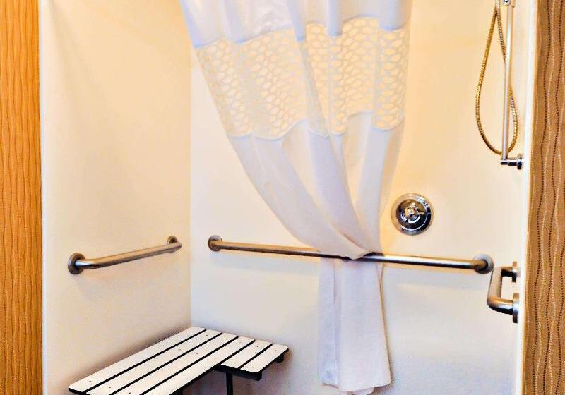 스탠다드 룸 킹사이즈 침대, Hampton Inn Carrollton
