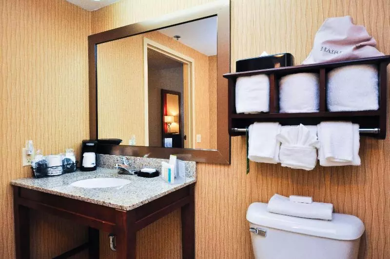 Standard-huone King-vuode, Hampton Inn Carrollton