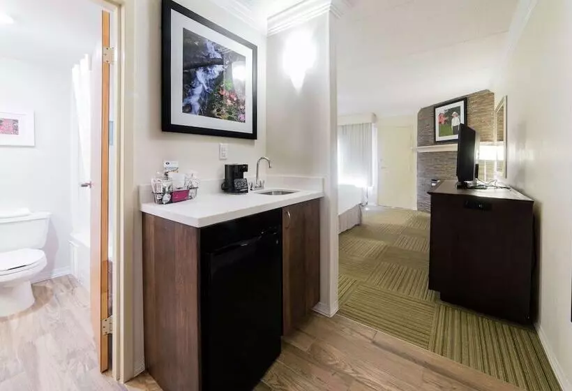 デラックスルーム, Hampton Inn Caryvillei75/cove Lakestate Park