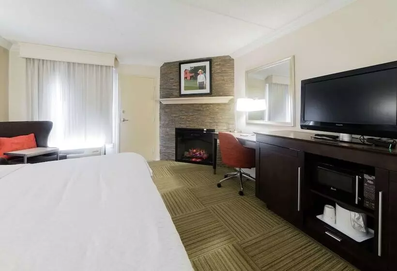 デラックスルーム, Hampton Inn Caryvillei75/cove Lakestate Park