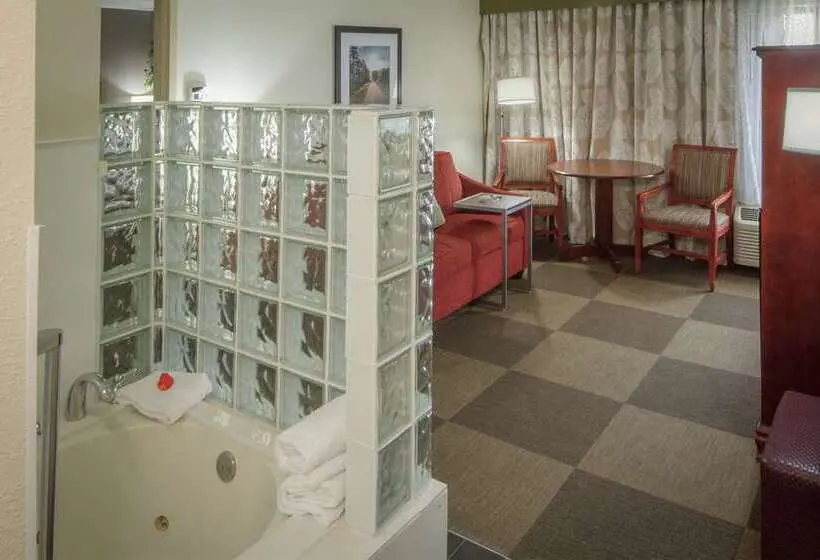デラックスルーム, Hampton Inn Caryvillei75/cove Lakestate Park