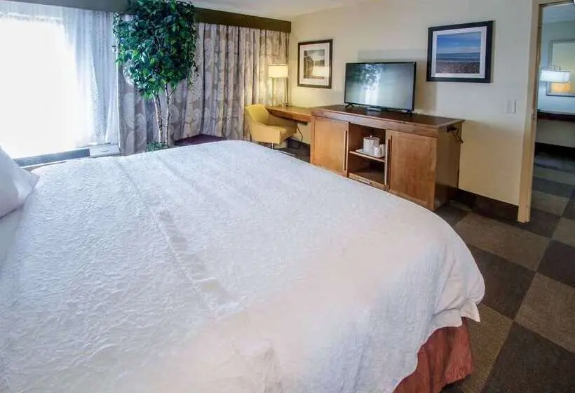 デラックスルーム, Hampton Inn Caryvillei75/cove Lakestate Park