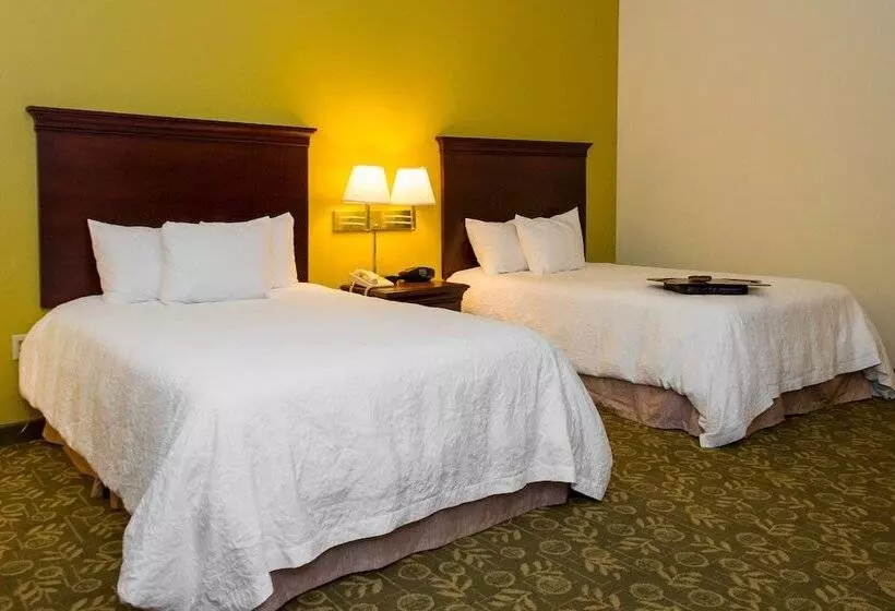 ２ダブルベッドのスタンダードルーム, Hampton Inn Frankfort