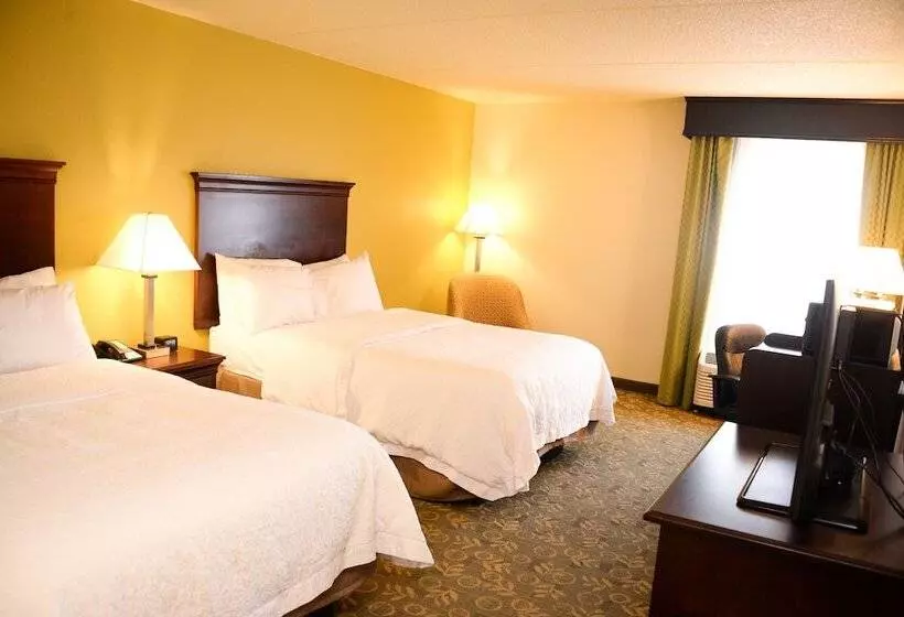 ２ダブルベッドのスタンダードルーム, Hampton Inn Frankfort