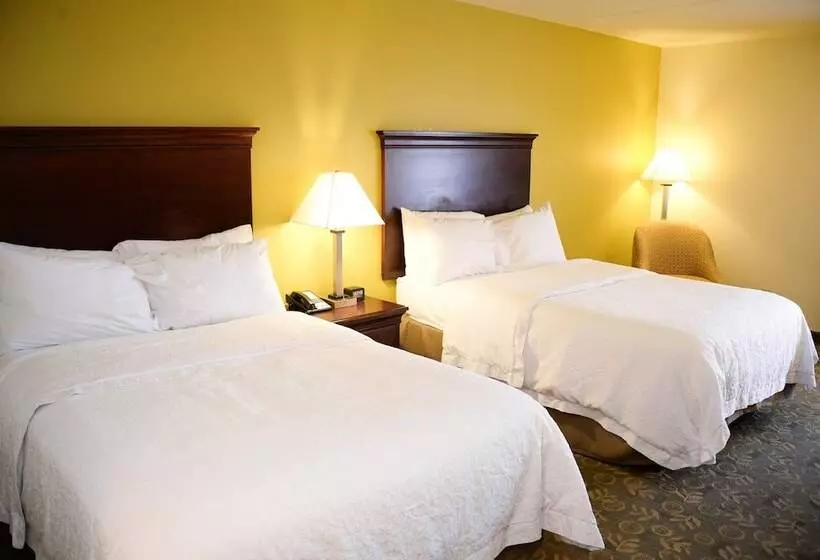 ２ダブルベッドのスタンダードルーム, Hampton Inn Frankfort