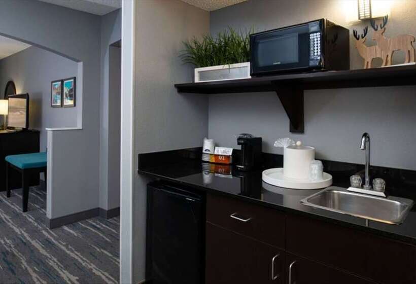 Номер Стандарт, Hampton Inn Glenwood Springs