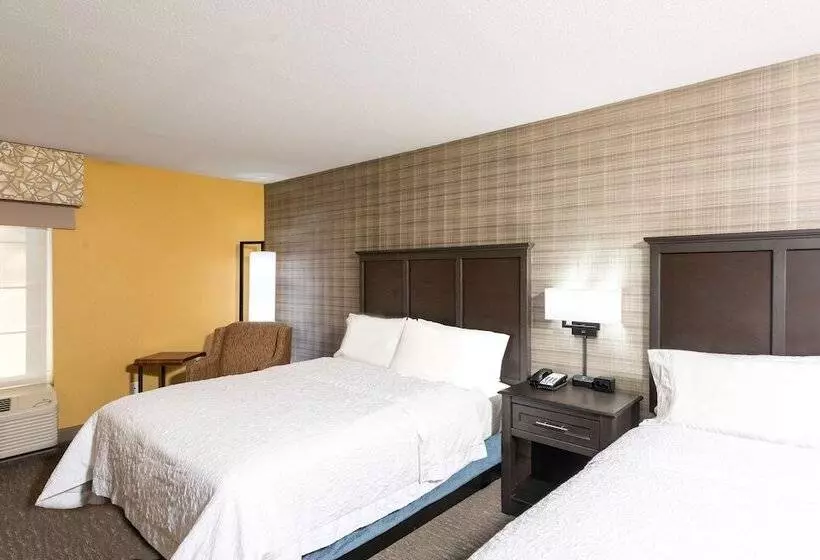 スタンダードルーム, Hampton Inn Holland