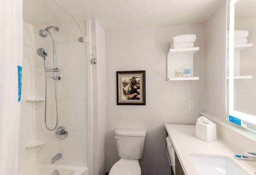 2ダブルベッドのスタンダードルーム, Hampton Inn Holland