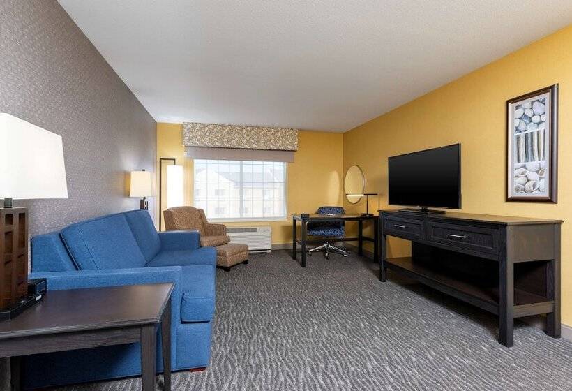 Люкс, Hampton Inn Holland