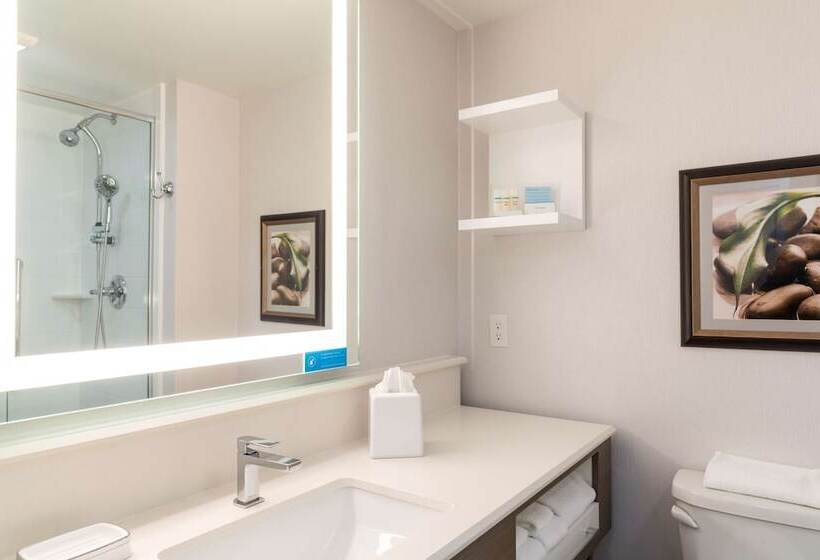 スイート, Hampton Inn Holland